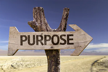 Finding Purpose & Passion